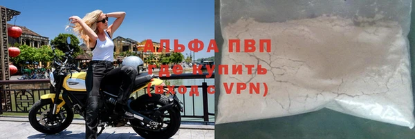 ГАЛЛЮЦИНОГЕННЫЕ ГРИБЫ Липки