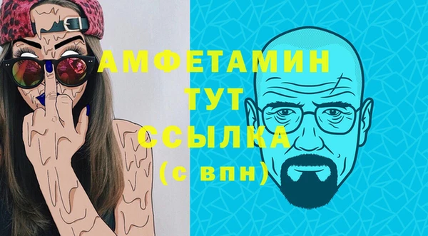 сатива Лабытнанги
