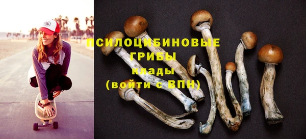 сатива Лабытнанги