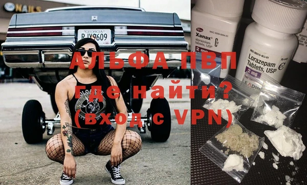 сатива Лабытнанги