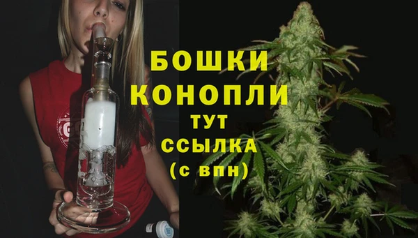 сатива Лабытнанги